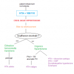 130.3 Urgence hypertensive