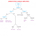 318.1 HMG (clinique)