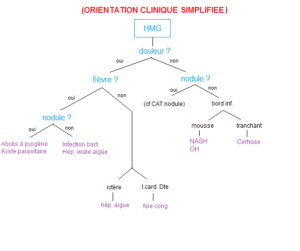 318.1 HMG (clinique)