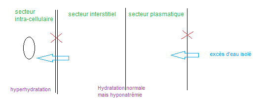 219 HIC isolée