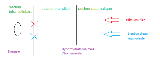 219 hyperhydratation intra-cellulaire