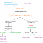 219.10 trouble acido-basique