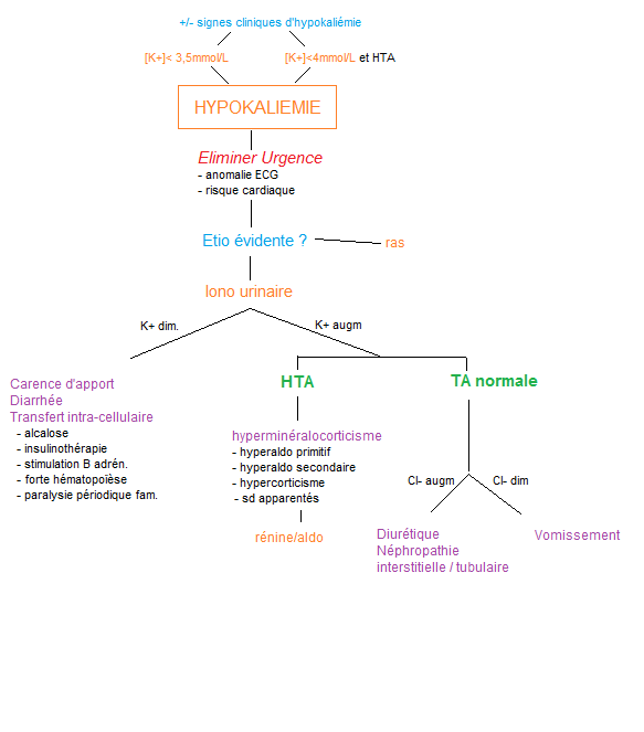 219.8 Hypokaliémie