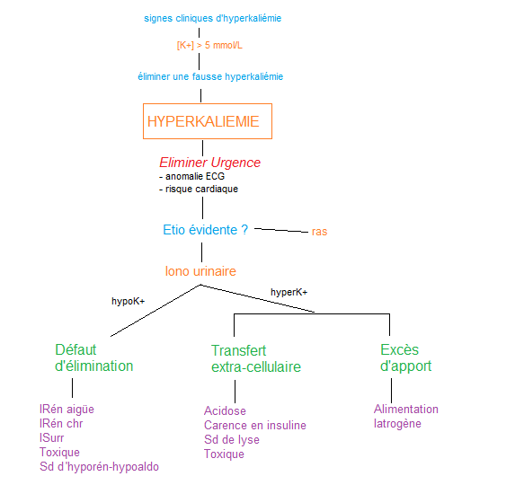 219.9 Hyperkaliémie