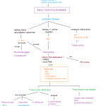 86 infection pulmonaire