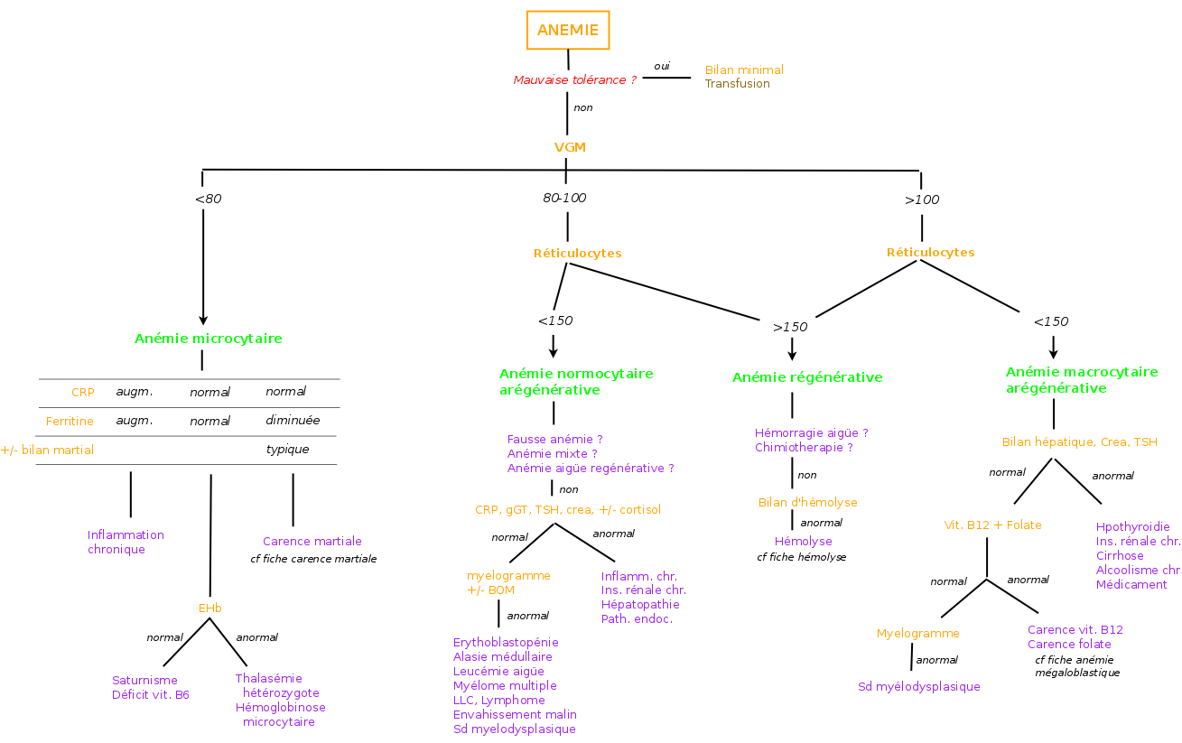 anemie aregenerative