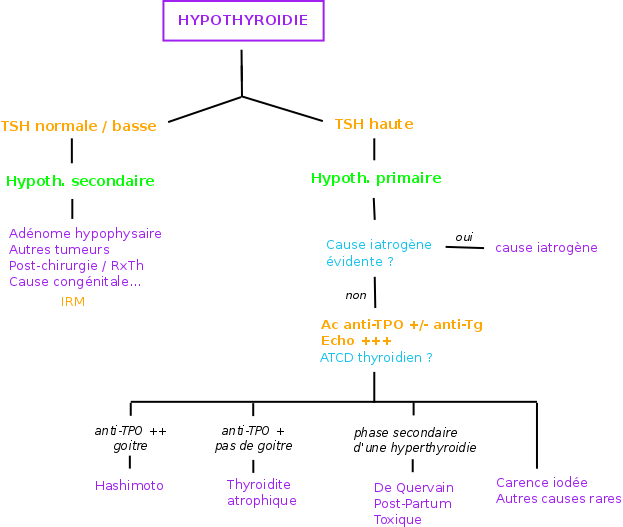 Hypothyroïdie - MedG