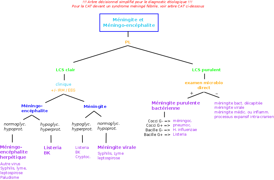 Méningite et Méningo-encéphalite - MedG