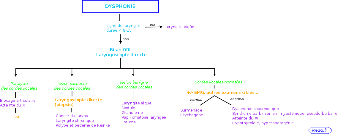 Pathologies des Cordes Vocales-Dysphonie 