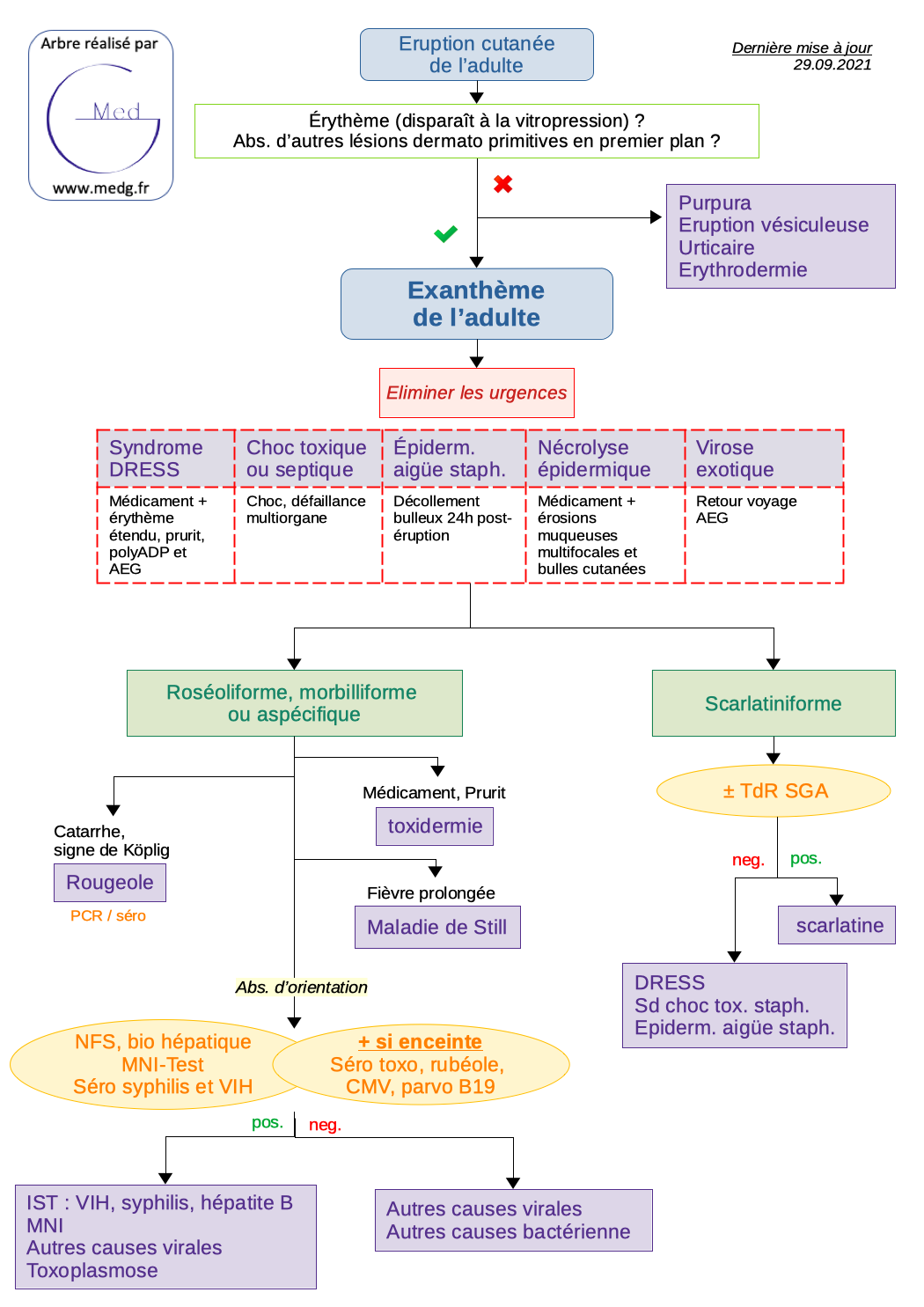 Exanthème de l'adulte - MedG